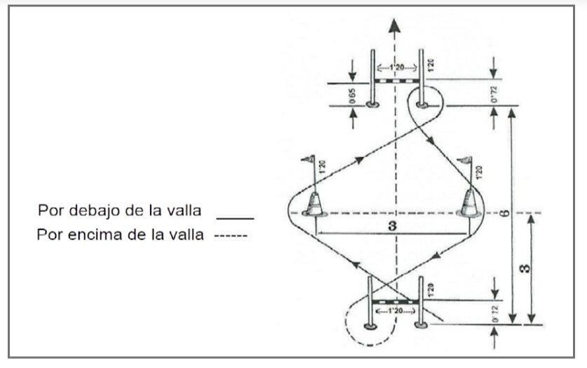 Academia Centro en Alicante, formación para oposiciones de Policía Nacional y Guardia Civil, acceso físico y temario para preparación