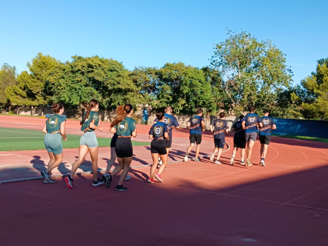 Cómo saber elegir LA MEJOR ACADEMIA PARA LA OPOSICIÓN A POLICÍA NACIONAL Y GUARDIA CIVIL - Formación para opositores de Policía Nacional y Guardia Civil | Academia Centro 5 Academia Centro en Alicante, formación para oposiciones de Policía Nacional y Guardia Civil, acceso físico y temario para preparación